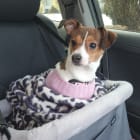 Millie