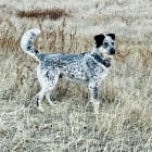 Jax