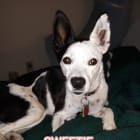 Sweetie