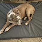 Axle