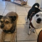 Barkley and Mimi
