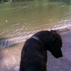 Diego
