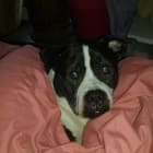 Stormie