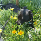 Lucy