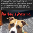 Harley