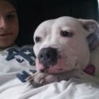 Dally