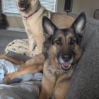 Kaya