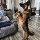 Xena Warrior Princess