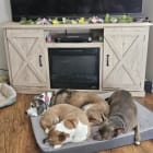 Millie - Envy - Tatey