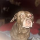 Riley