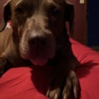 Riley