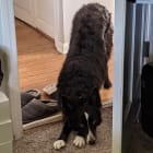 Delilah