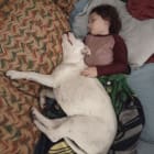 Little Girl