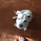 Little Girl