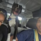 Zena n Hercules