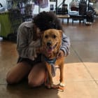 Zena n Hercules