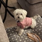 Sophie