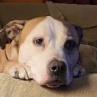 Roscoe P Coltrane