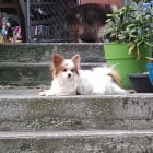 Jax