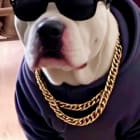 Capone