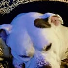 Capone