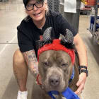 Bronson