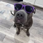 Bronson