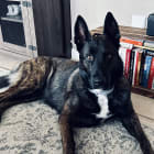 Loki and Odin