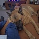 Jaxx