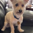 Duncan
