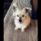 Duncan