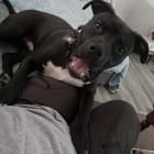 Zeus