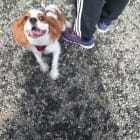 Benny
