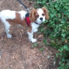 Benny