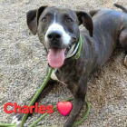 Charles