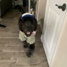 Murphy
