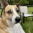Tula