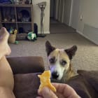 Tula
