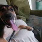 Tessie