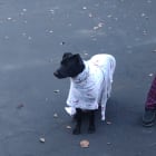 Tucker