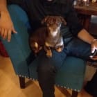 Oscar