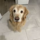 Dasher