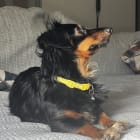 Missy