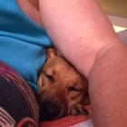 Daisy Mae