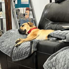 Maxie