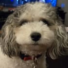 SadieMae