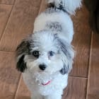 SadieMae