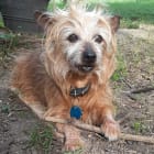 Rusty