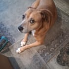 Lucy