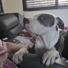 Molly Mable